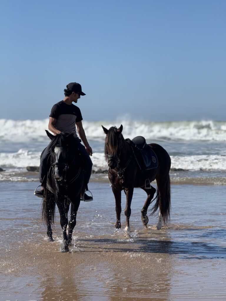Horseback Riding on the Beach in Essaouira: A Unique Experience