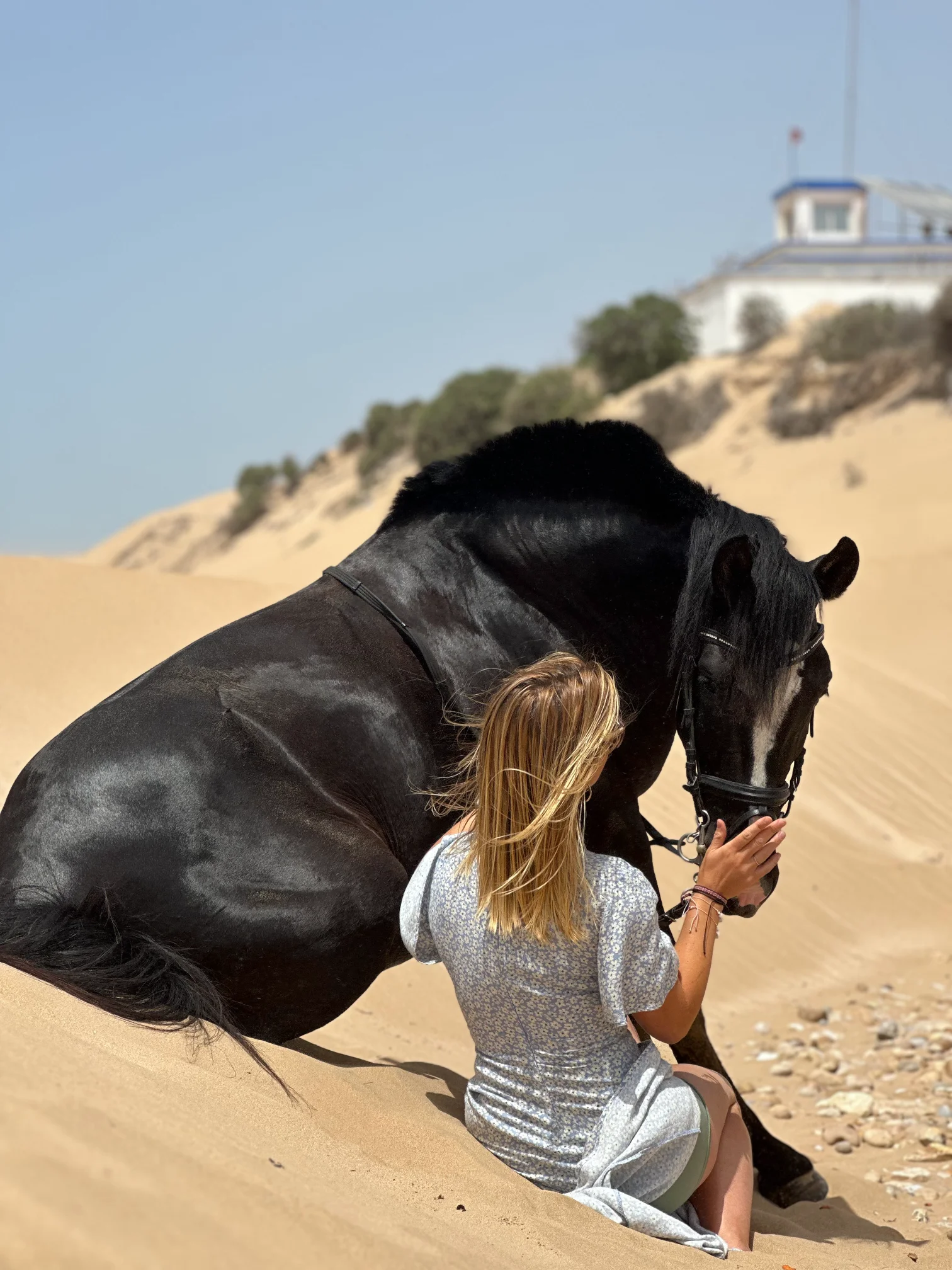 Essaouira HorseRiding
